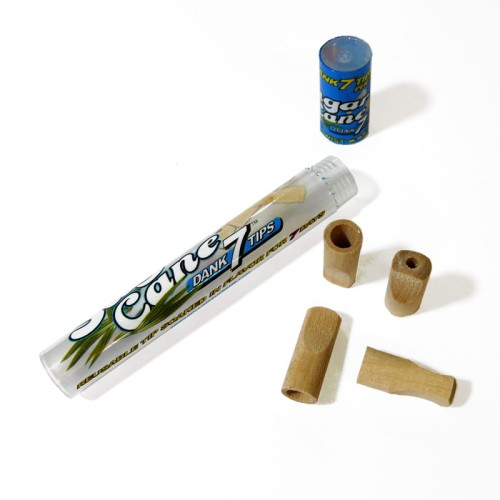 sugarcane01.jpg