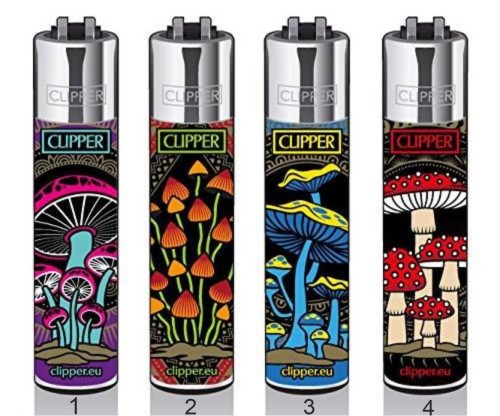 clipper mushrooms.jpg